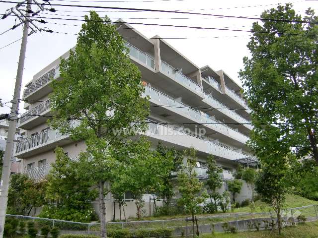 ルネサンクタスナシオンヒルズD1棟の外観（南側から）