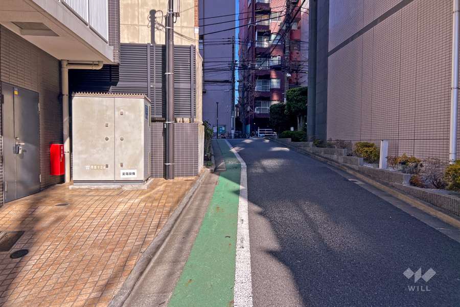敷地南側の前面道路（西側から）