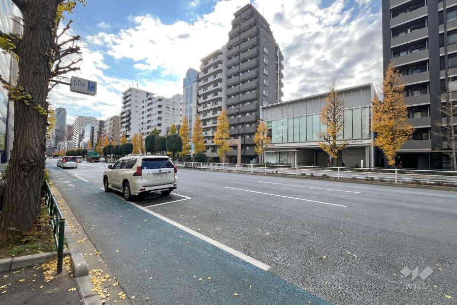 敷地東側の前面道路（北側から）