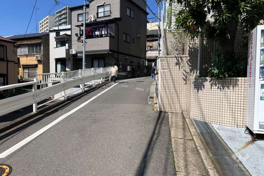 敷地の西側前面道路（南側から）