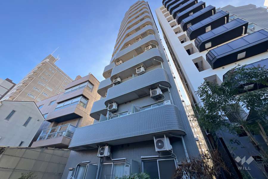 ダイホープラザ千駄木の外観（北西側から）