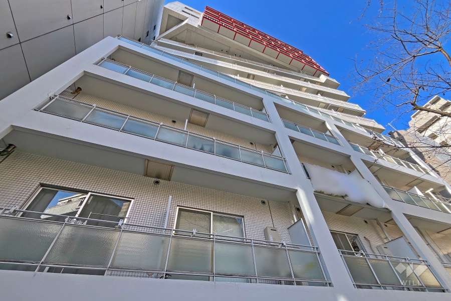 ライオンズマンション白山駅前の外観（南東側から）