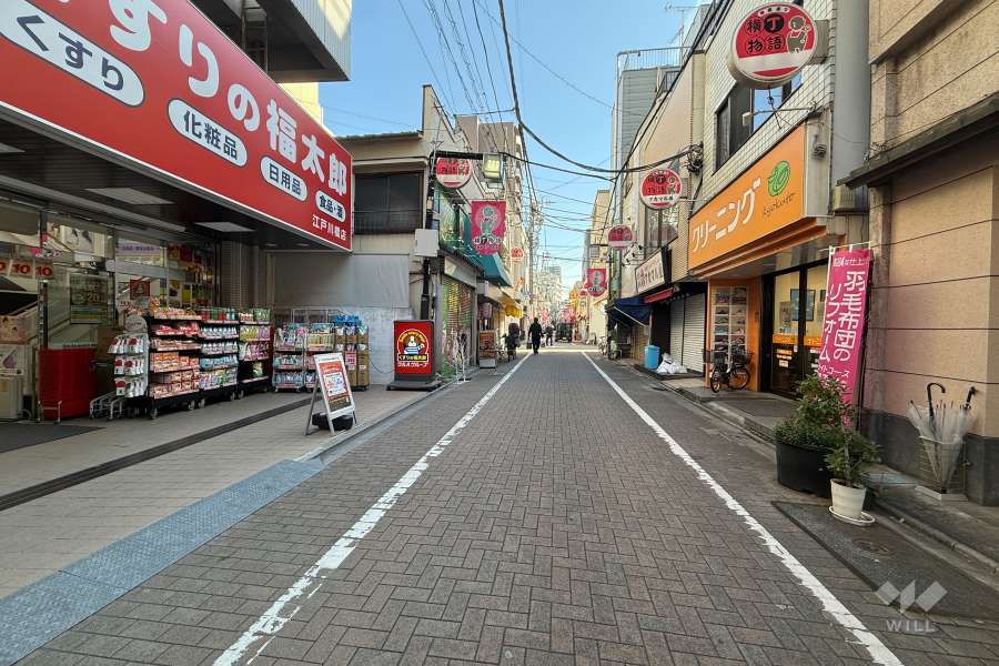 敷地の南側前面道路（西側から）