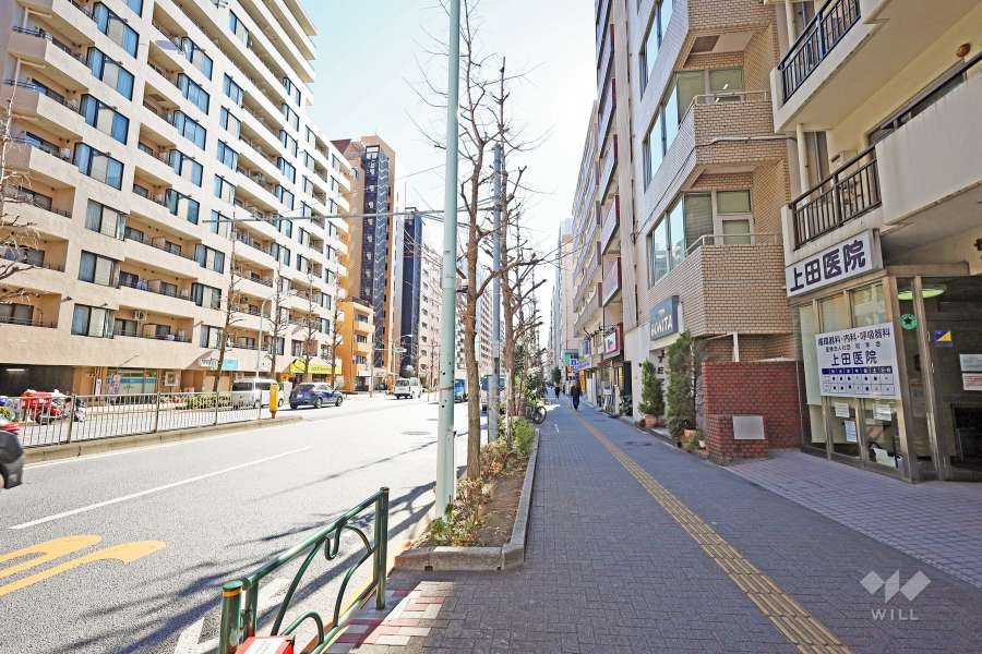 敷地東側の前面道路（北側から）