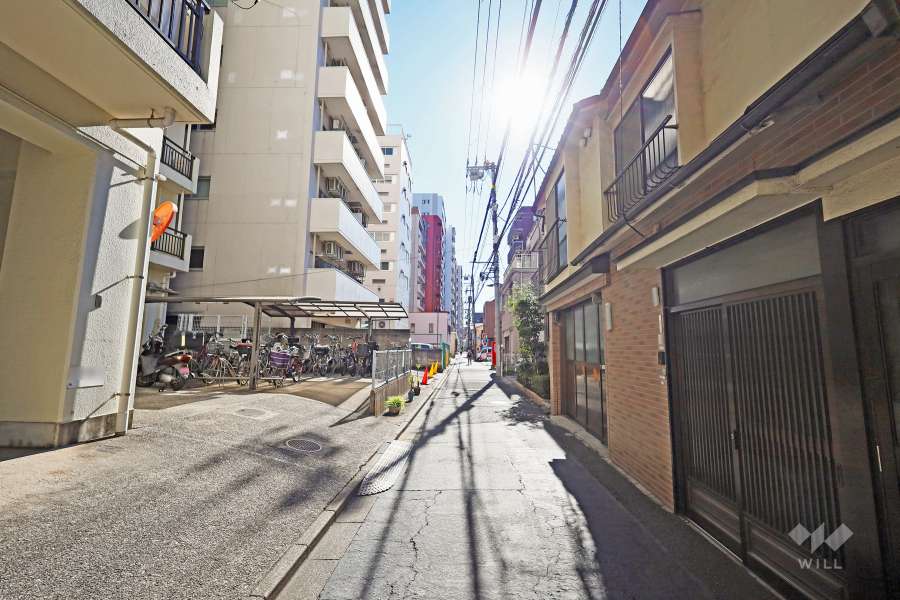 敷地西側の前面道路（北側から）