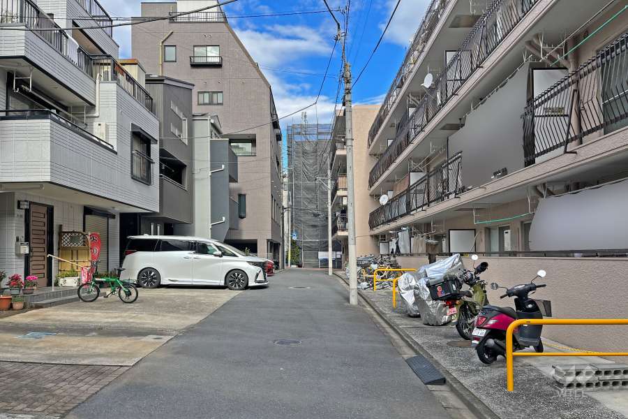 敷地の西側前面道路（南側から）