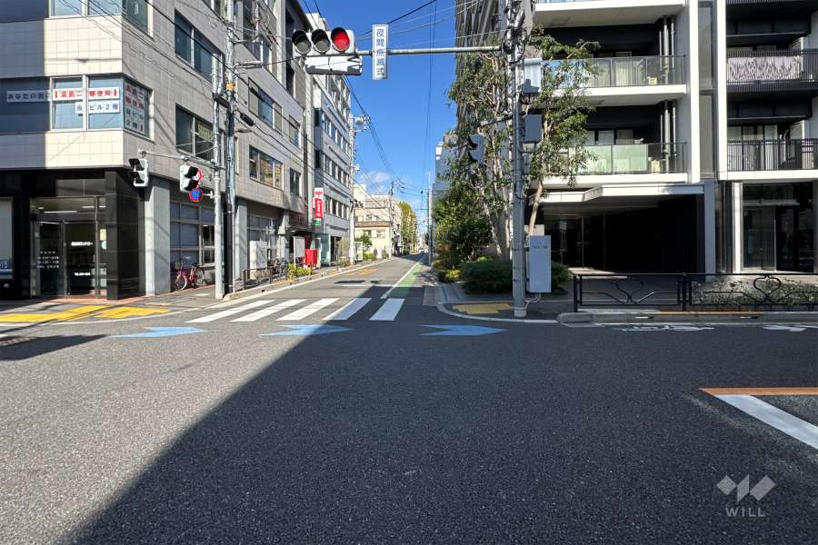 敷地の西側前面道路（南側から）
