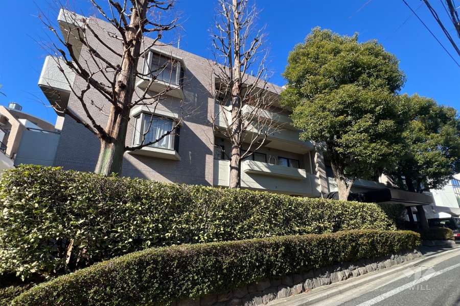 クレアモントハウスの外観（南東側から）