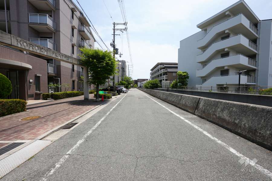 敷地西側の前面道路（北側から）