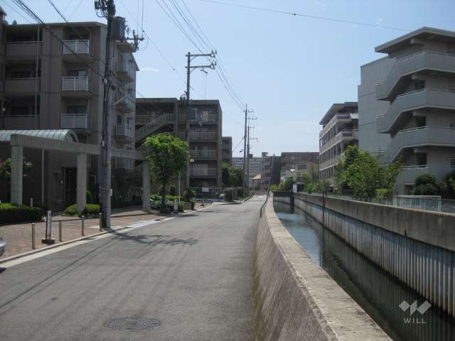 マンションの西側の様子