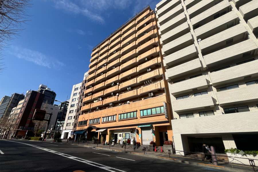 ライオンズプラザお茶の水の外観（南側から）