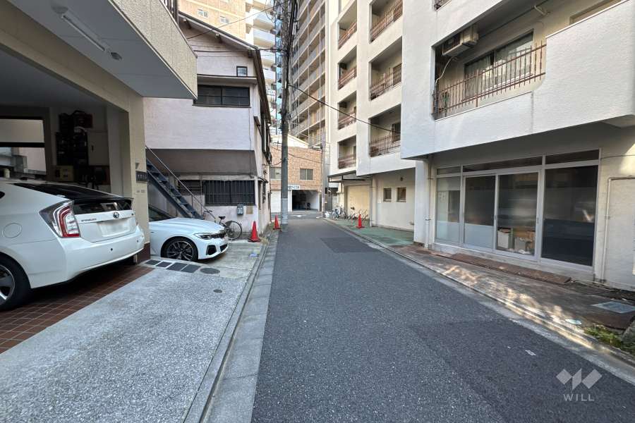 敷地の北西側前面道路（南西側から）
