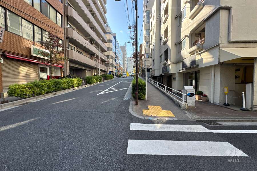 敷地の東側前面道路（北側から）