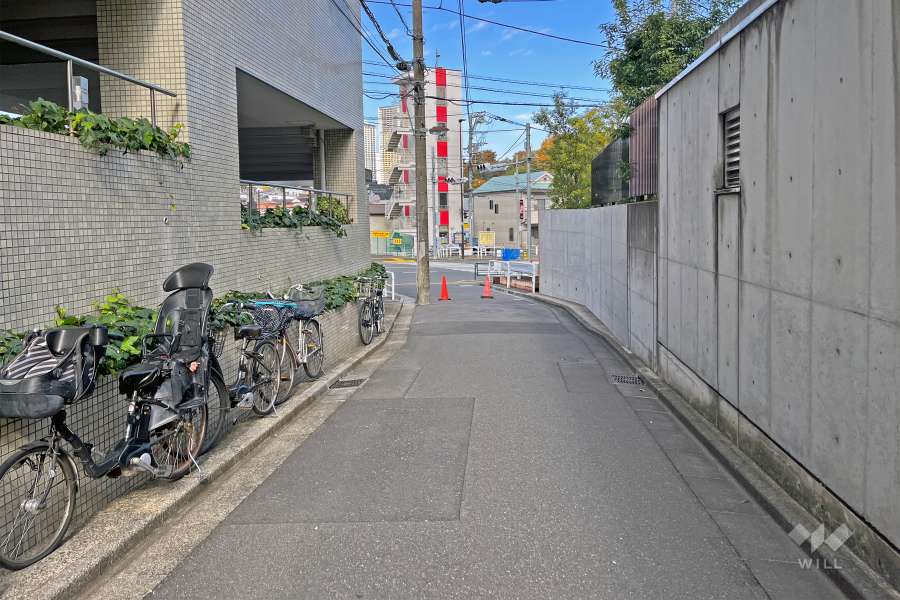 敷地の東側前面道路（南側から）