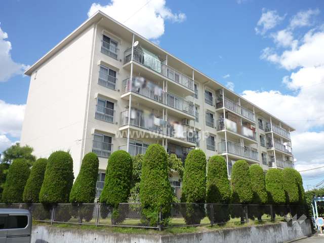 上田東町住宅2号棟の外観（南側から）