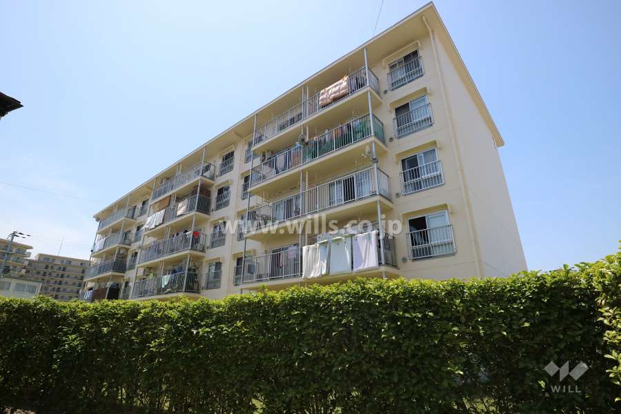 上田東町住宅2号棟の外観（東側から）