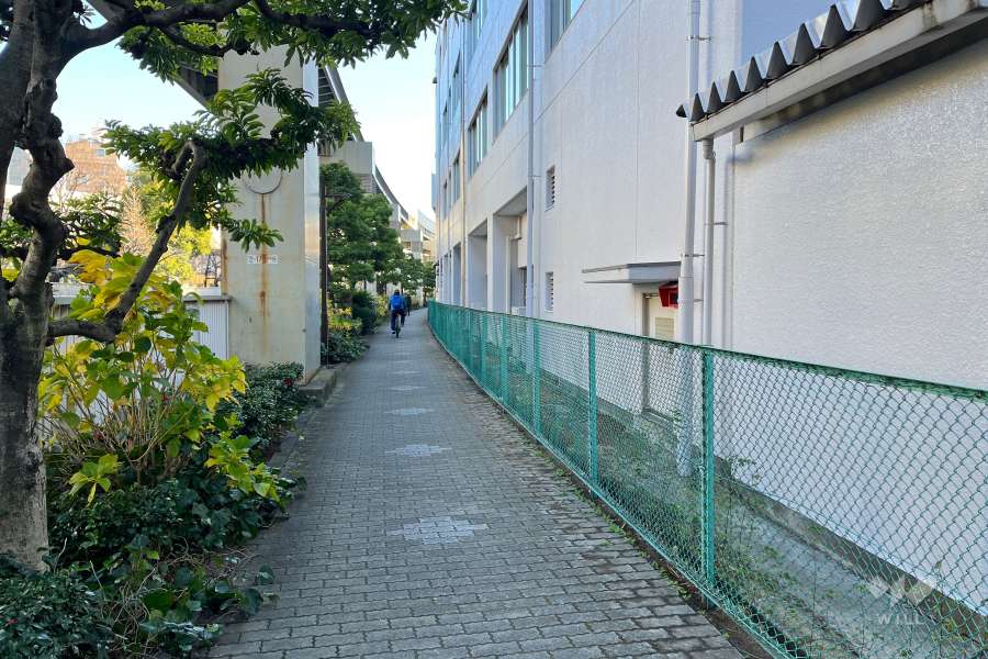 敷地北側の前面道路