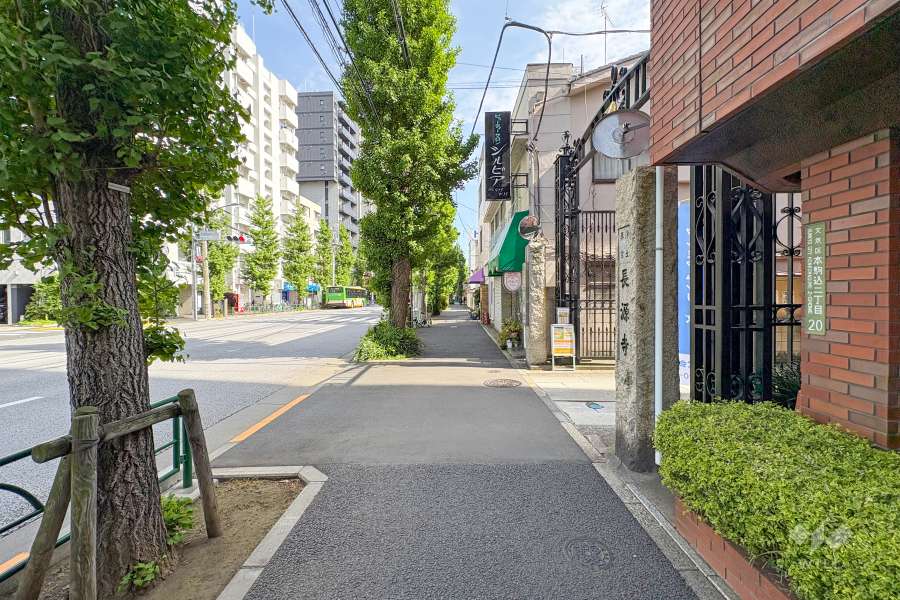 敷地東側の前面道路（北側から）