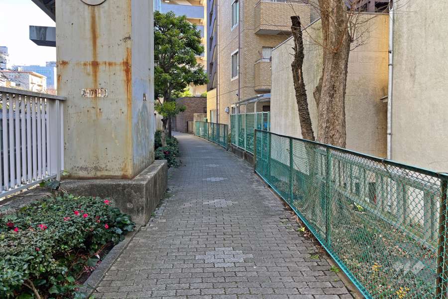 敷地の北側前面道路（西側から）