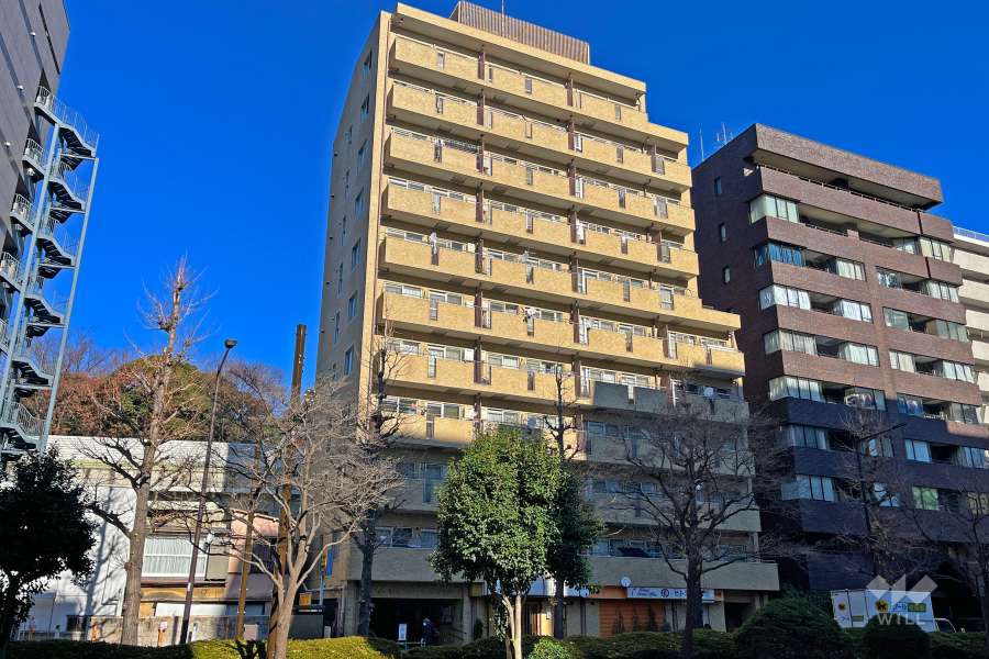 朝日関口マンションの外観（南西側から）