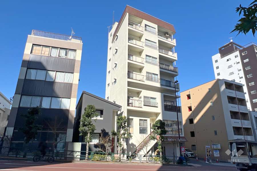 ニューハイム文京の外観（南西側から）