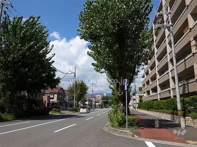 敷地南西側の前面道路。街路樹、歩道のある四車線のバス通りです。