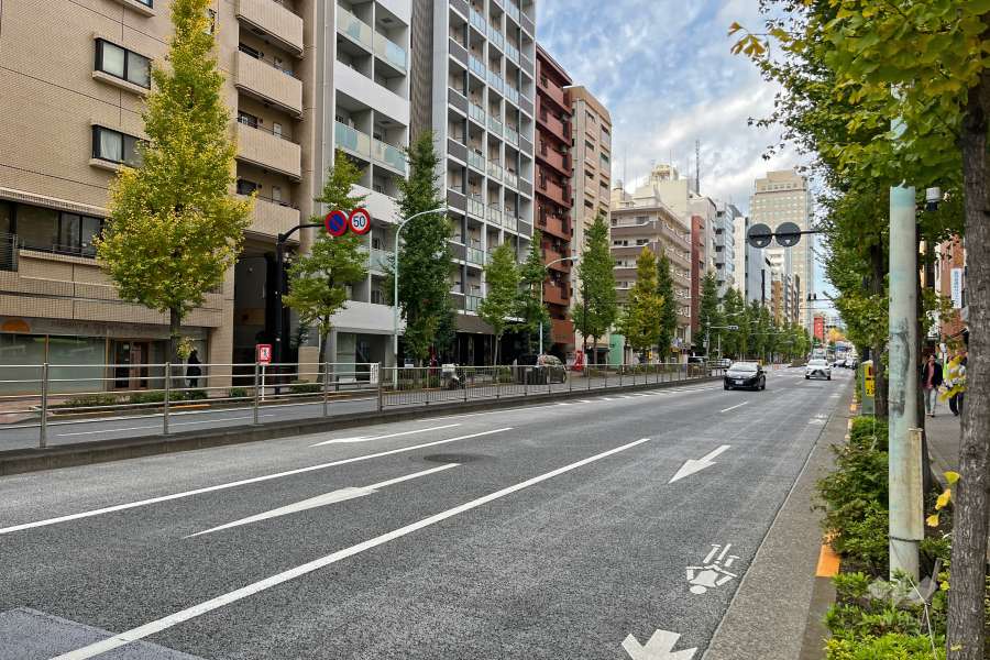 敷地東側の前面道路（南側から）