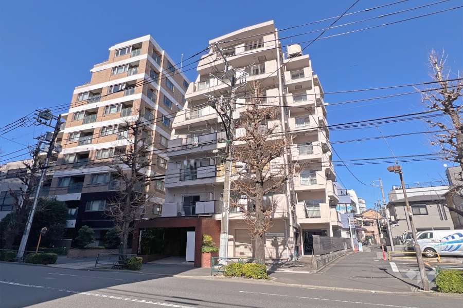 リレント白山の外観（南東側から）