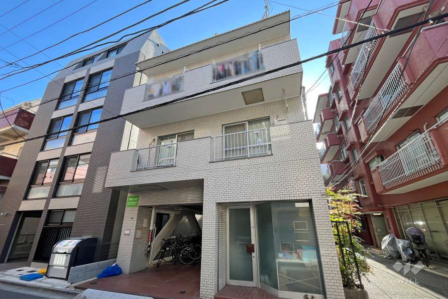 ダイアパレス白山の外観（北西側から）