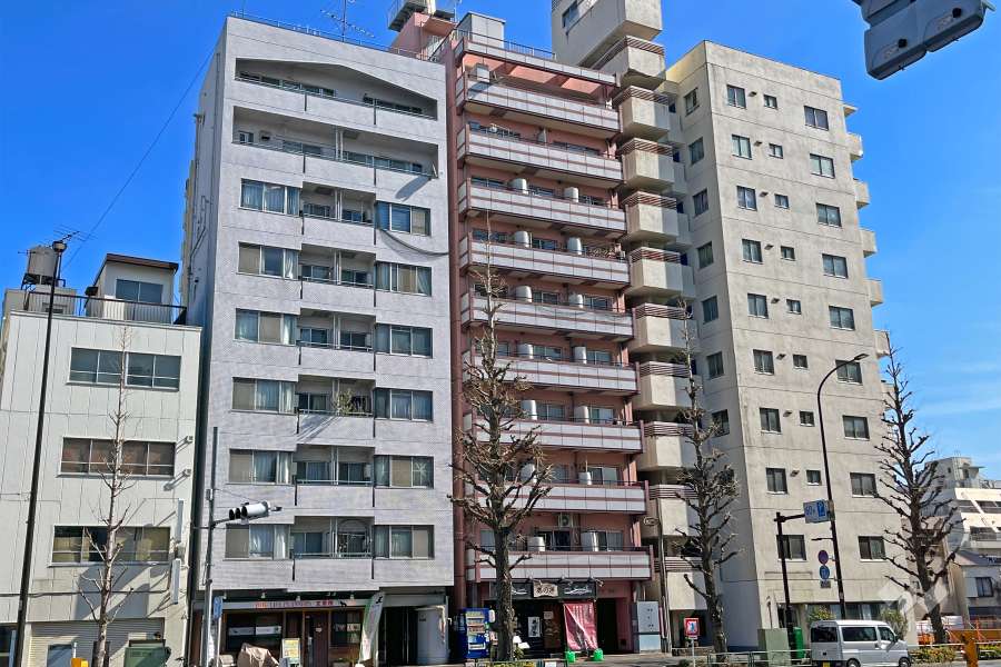 セントヒルズ白山の外観（北西側から）