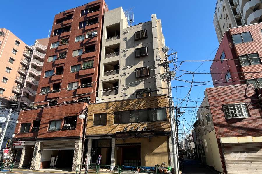 フジメゾン千駄木の外観（南西側から）