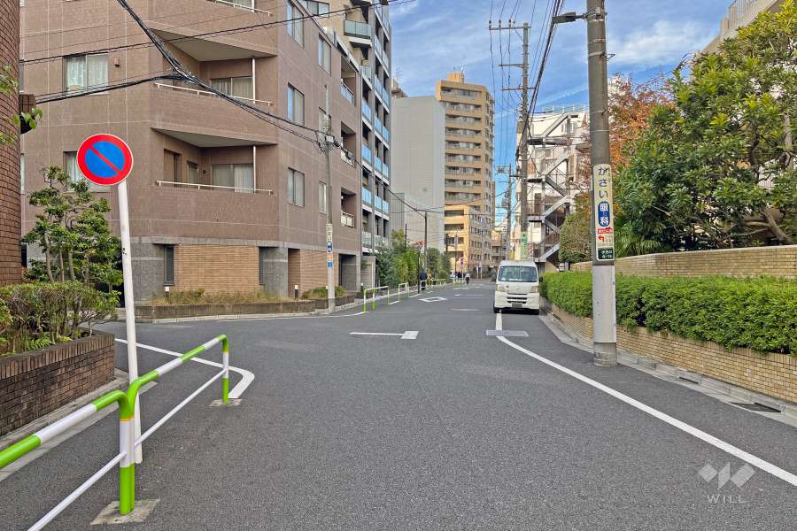 敷地の南西側前面道路（南東側から）