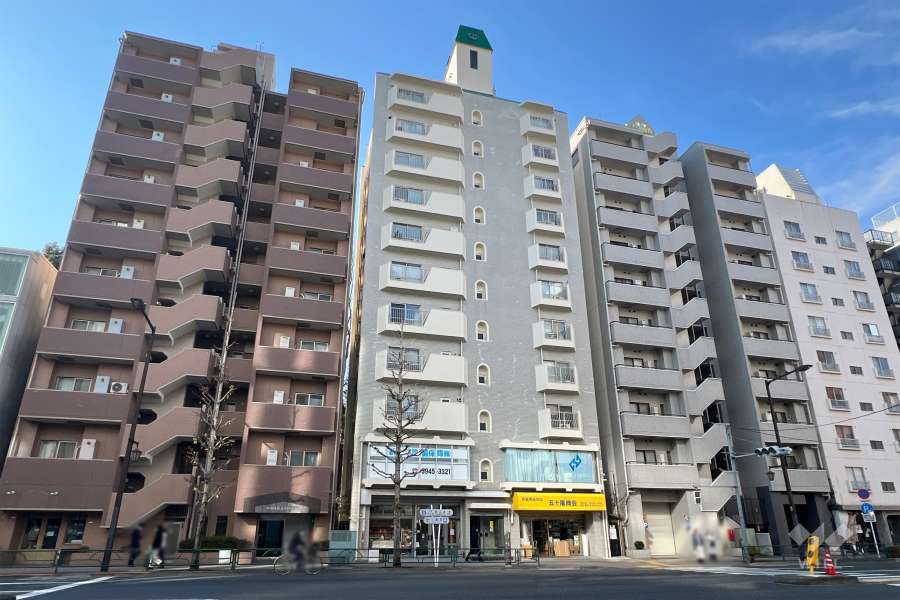 六義園サマリヤマンションの外観（東側から）