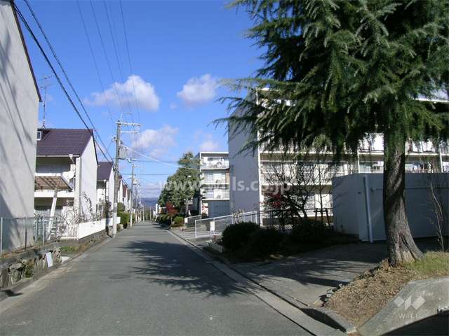 周辺の街並み