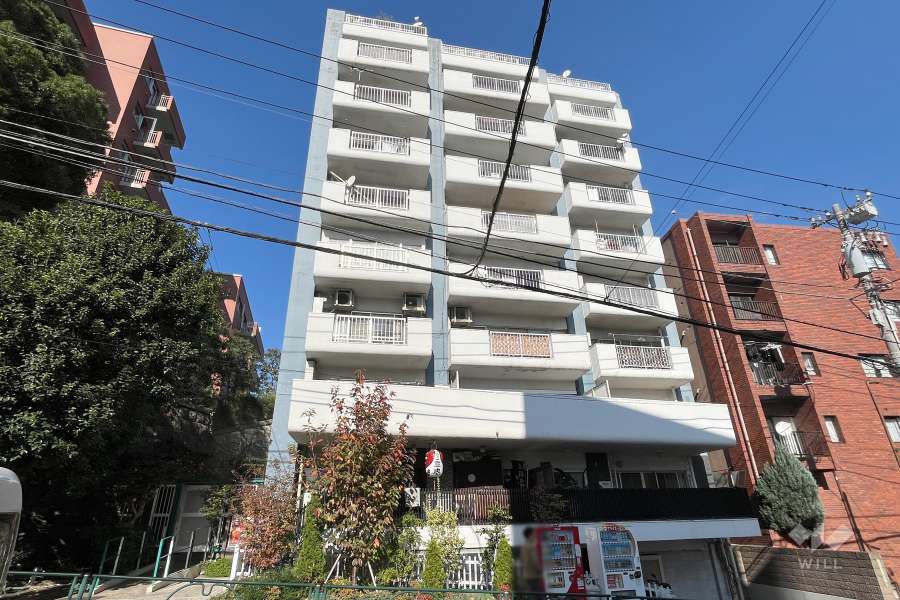 ドミール千駄木の外観（南側から）