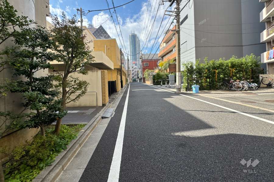 敷地の南側前面道路（東側から）