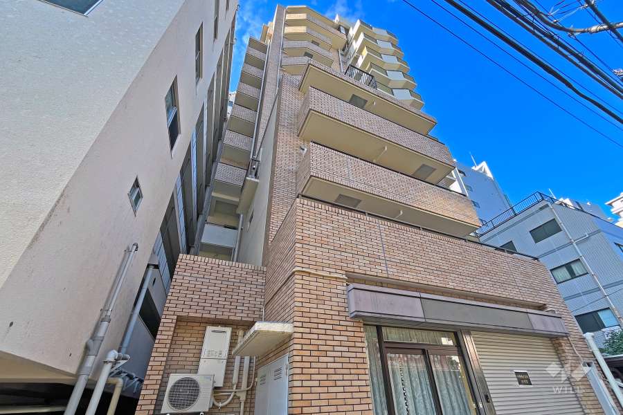 シルバープラザ白山の外観（南東側から）