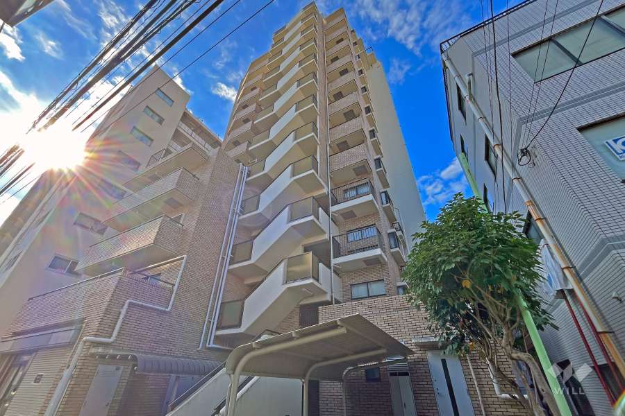 シルバープラザ白山の外観（北東側から）