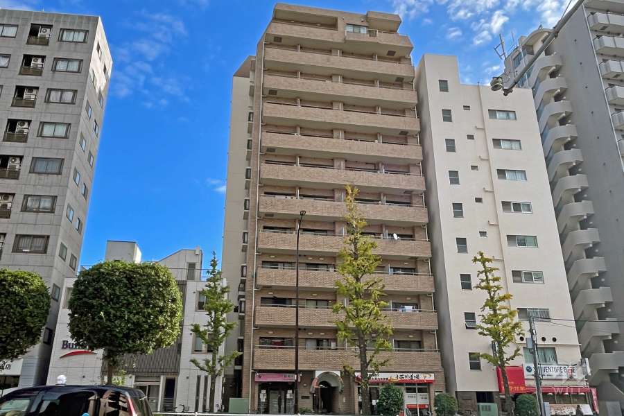 シルバープラザ白山の外観（北西側から）