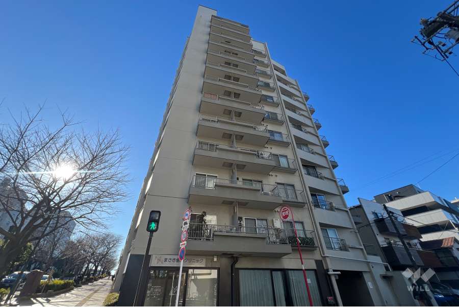 小石川ビューパレーの外観（東側から）