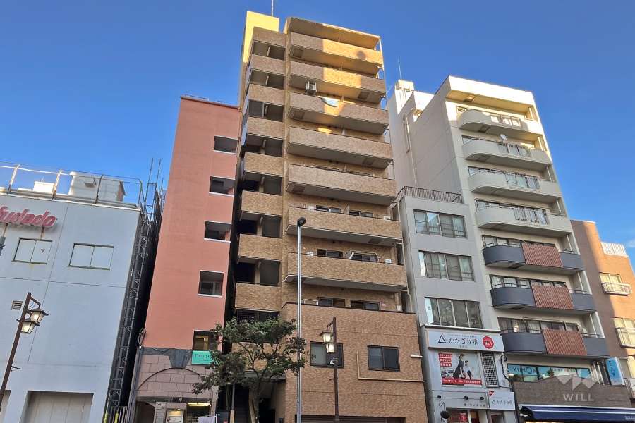 ライオンズマンション文京根津の外観（西側から）