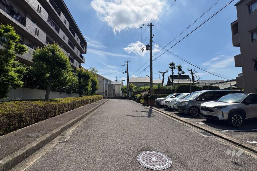 敷地南側の前面道路（西側より）