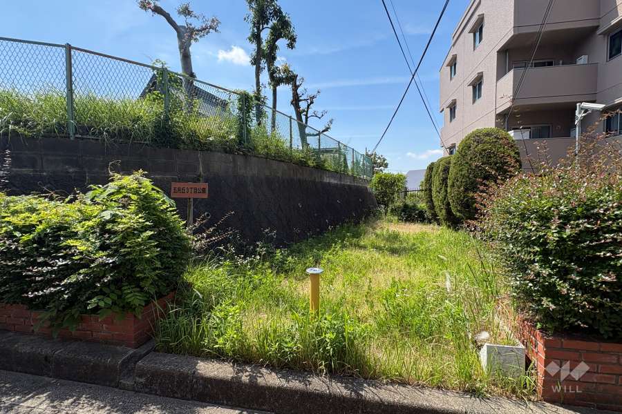 敷地に隣接した公園