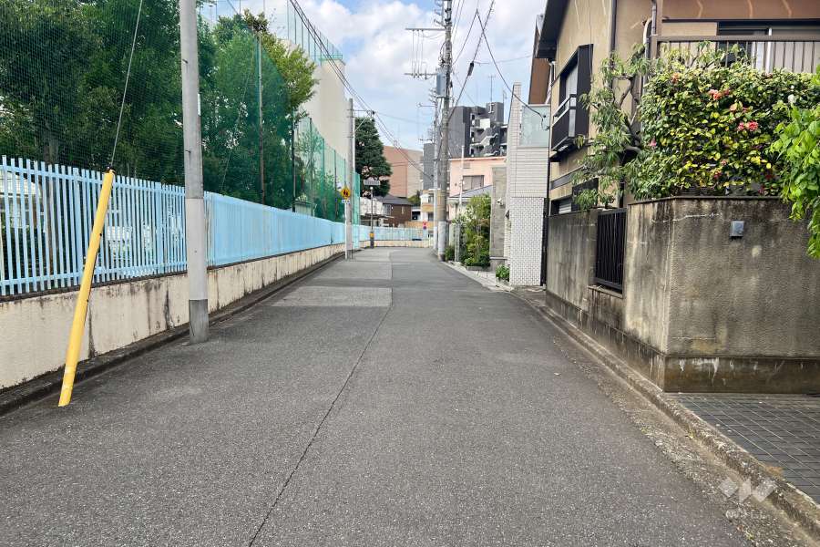 敷地の西側前面道路（南側から）