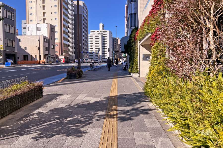 敷地南西側の前面道路（南東側から）