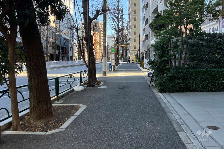 敷地の北東側前面道路（北西側から）