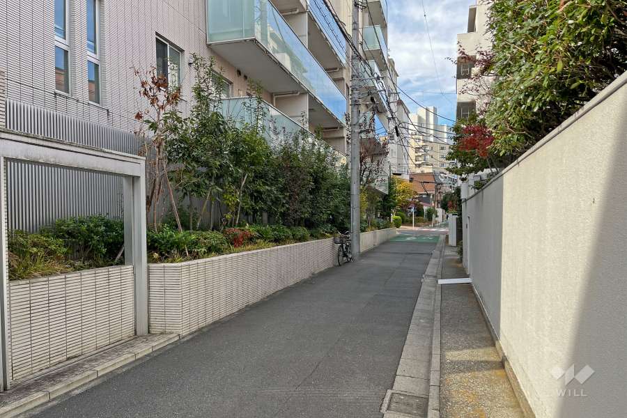 敷地の北東側前面道路（南東側から）