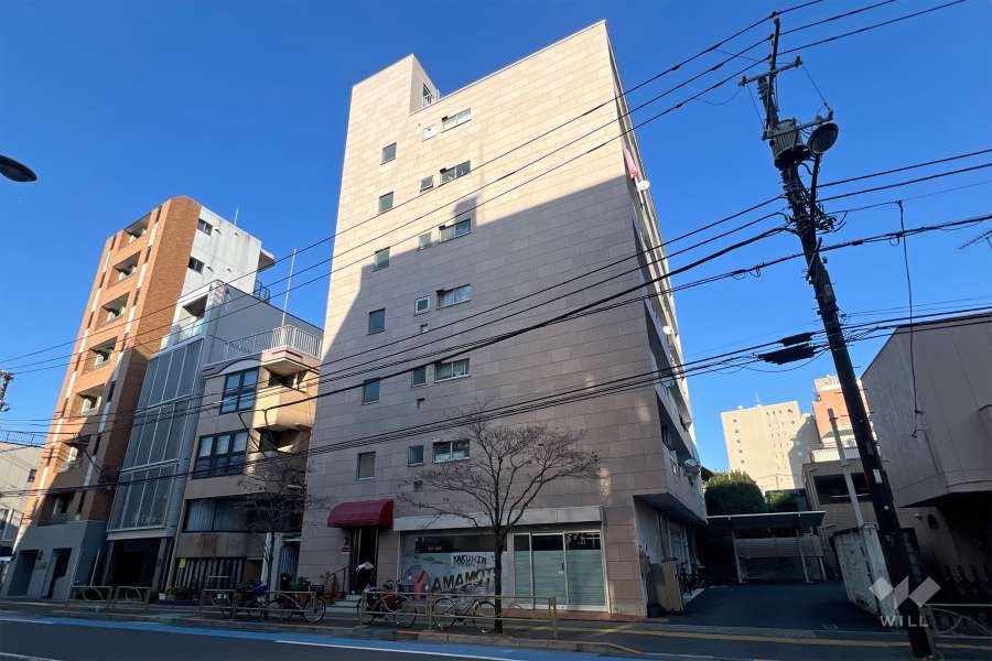 向丘ハイツの外観（南側から）