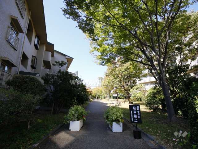  3号棟北側の通路