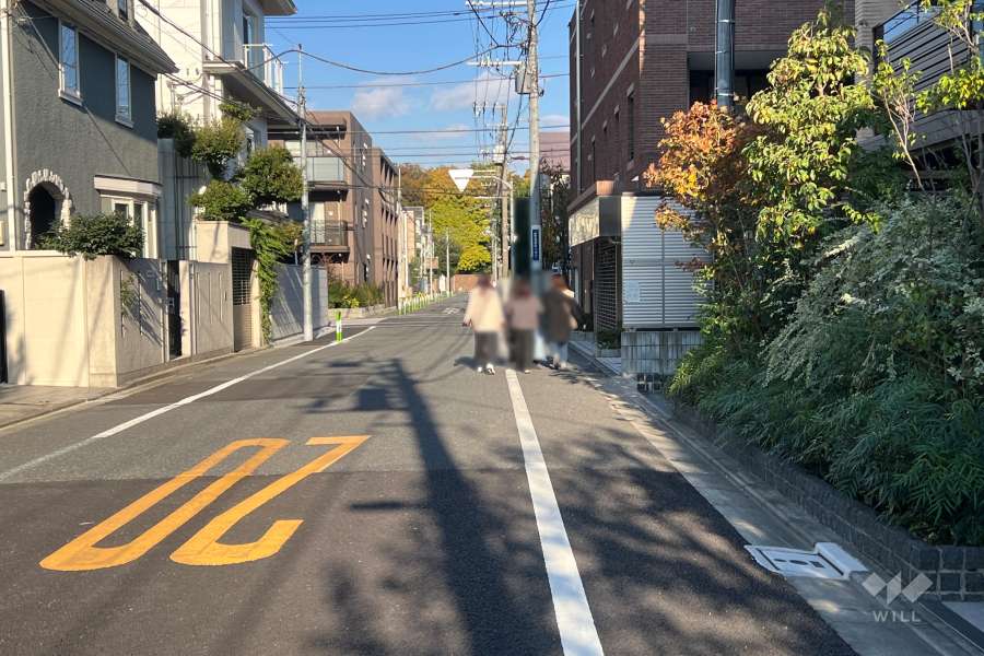 敷地の北西側前面道路（南西側から）